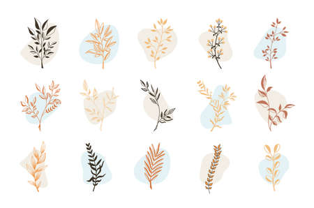 Vector illustration, outlines of petals with colored delicate abstract elements. Set of linear twigs. Stylish handdrawn decor template for covers, cards, notebooks, with design, isolated on backgroundのイラスト素材