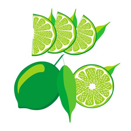 illustration for the theme lime.Isolated drawing consists of ripe juicy fruits slice with green leaves on a white background.The icon for the fresh vitamins health bar restaurant shopのイラスト素材