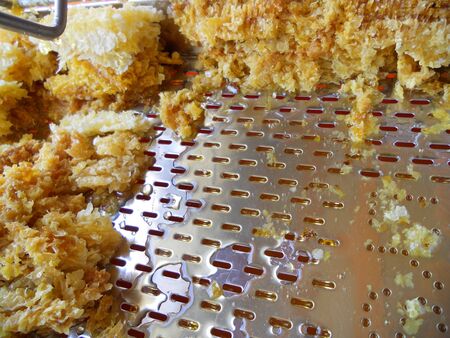 this photo shows the honey and honeycomb