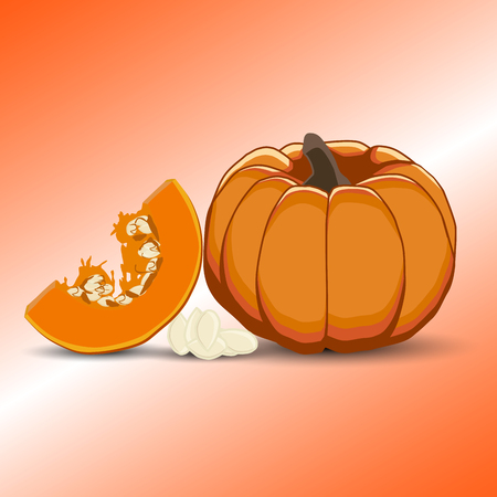 Vector illustration  for yellow pumpkinのイラスト素材