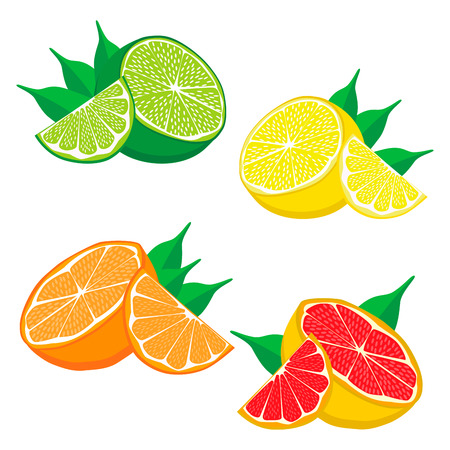 set fruits Orange grapefruit lemon lime.のイラスト素材