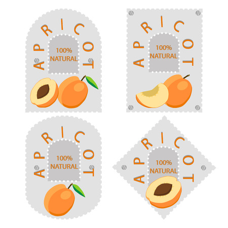 fruit apricotのイラスト素材