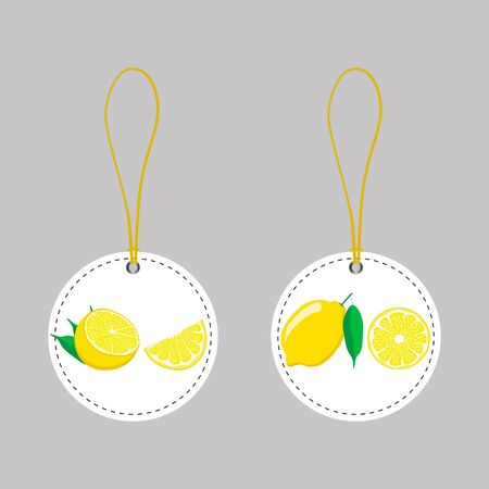 fruit lemonのイラスト素材