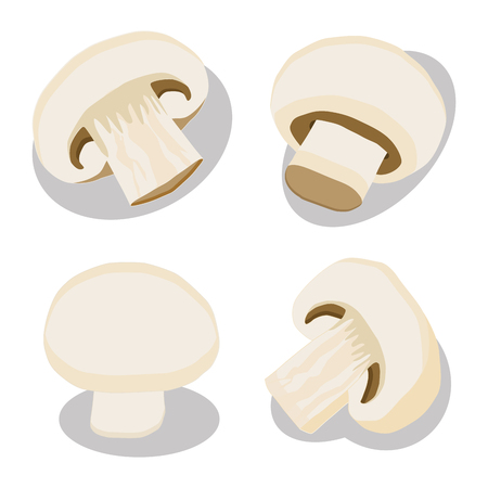 mushroom champignonのイラスト素材