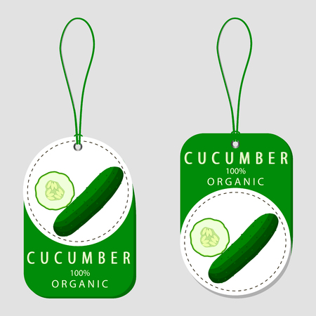 green cucumberのイラスト素材