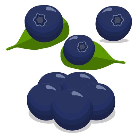 Abstract vector illustration of logo for the theme of the berry blueberry.のイラスト素材