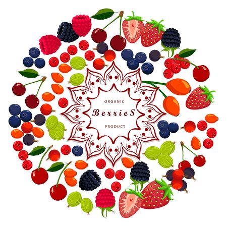 Vector illustration logo, isolated berry: strawberry, cherry, raspberry, blackberry, currant, gooseberry, wild rose, blueberry, cranberry.Raspberry drawing consists of strawberries, cherries on white background.のイラスト素材