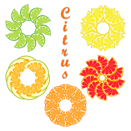 Abstract vector illustration logo for ripe citrus fruit orange, lemon, lime, grapefruit, pomelo, cut sliced.Citrus: peel fruits lemons, ripe limes, sweet grapefruits, fresh pomelos.Eat vitamin C citruses, joy.のイラスト素材
