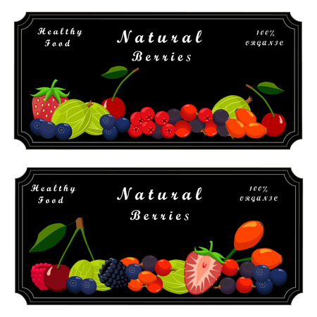 Vector illustration logo fruit berry: strawberry, cherry, raspberry, blackberry, currant, gooseberry, wild rose, blueberry, cranberry.Raspberry drawing consists of strawberries, cherries, blackberries, currants.のイラスト素材