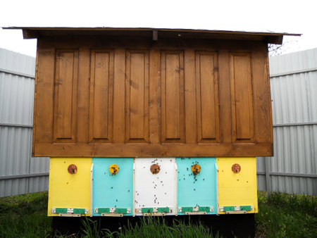 The photo shows: beehive, honey nectar, hive, swarm bees, honeycomb wax, private apiary, wildlife, animals bee, wings, beeswax.Beehive honey for beeswaxes, honeycomb.Beeswax beehives house consists of apiarists.のeditorial素材