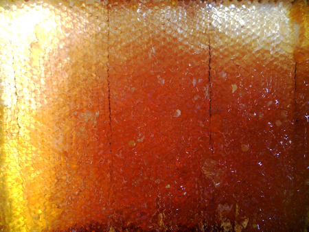 The photo for theme honey.の写真素材