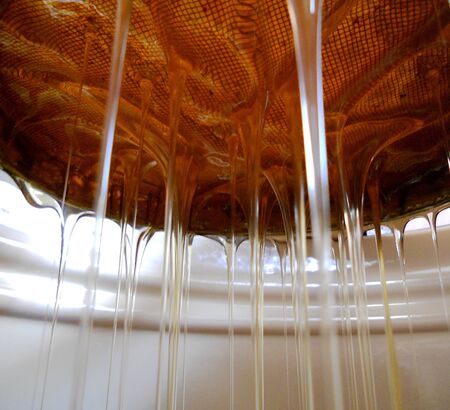 The photo for theme honey.の写真素材