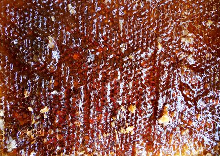 The abstract photo for theme natural honeyの写真素材