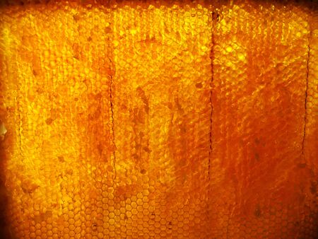 The abstract photo for theme natural honey
