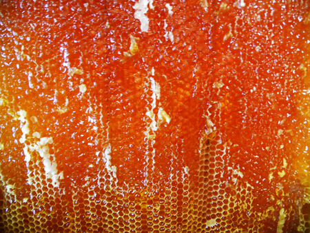 The abstract photo for theme natural honeyの写真素材