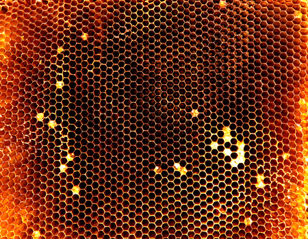 Background hexagon texture, wax honeycomb from a bee hive filled with golden honey. Honeycomb macro...
