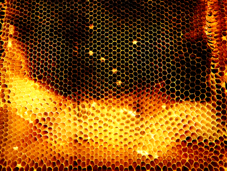 Background hexagon texture, wax honeycomb from a bee hive filled with golden honey. Honeycomb macro...