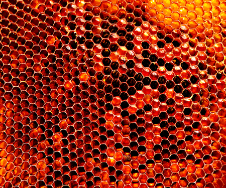 Background hexagon texture, wax honeycomb from a bee hive filled with golden honey. Honeycomb macro photography consisting of beeswax, yellow sweet honeys from beehive. Honey nectar of bees honeycombsの写真素材