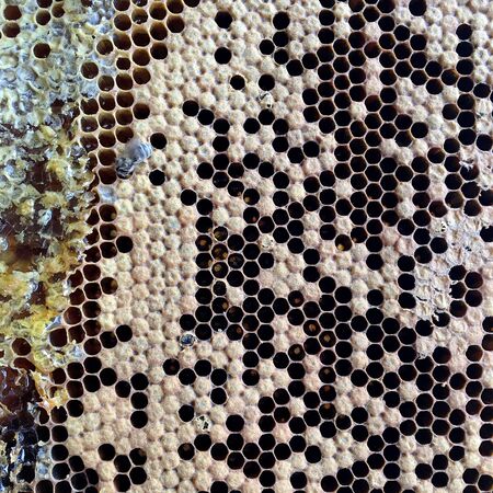 Abstract hexagon structure is honeycomb from bee hive filled with golden honey. Honeycomb summer...