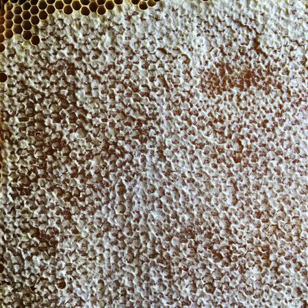 Abstract hexagon structure is honeycomb from bee hive filled with golden honey. Honeycomb summer...
