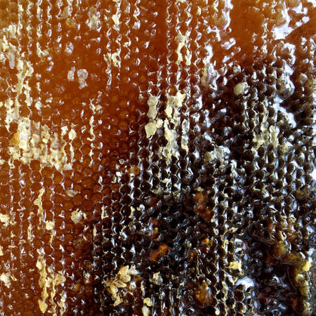 Drop of bee honey drip from hexagonal honeycombs filled with golden nectar. Honeycombs summer composition consisting of drop natural honey, drip on wax frame bee. Drop of bee honey drip in honeycombs.の写真素材