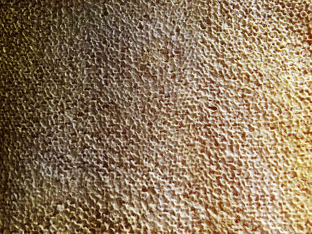 Abstract hexagon structure is honeycomb from bee hive filled with golden honey. Honeycomb summer...