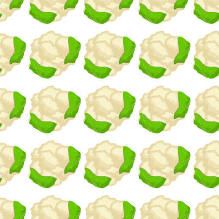 Illustration on theme of bright pattern cabbage, vegetable cauliflower for seal. Vegetable pattern consisting of beautiful cabbage, many cauliflower. Simple vegetable pattern from cauliflower cabbage.のイラスト素材