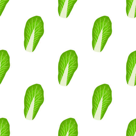 Illustration pattern chinese cabbage, vegetable salad for seal. Vegetable pattern consisting of beautiful chinese cabbage, many salad. Simple colorful vegetable pattern from salad chinese cabbage.のイラスト素材
