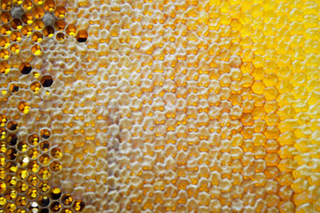 Drop of bee honey drip from hexagonal honeycombs filled with golden nectar. Honeycombs summer...