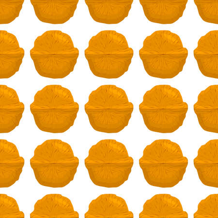 Illustration on theme big pattern identical types walnut, nut equal size. Walnut pattern consisting of natural nut for colored print on wallpaper. Abstract colorful pattern from many yummy nut walnut.のイラスト素材