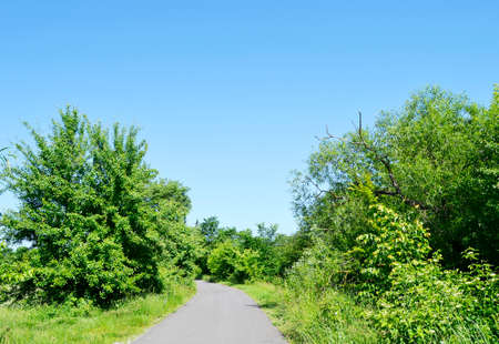Beautiful empty asphalt road in countryside on colored background. Photography consisting of new...