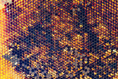 Drop of bee honey drip from hexagonal honeycombs filled with golden nectar, honeycombs summer composition consisting of drop natural honey, drip on wax frame bee, drop of bee honey drip in honeycombsの写真素材