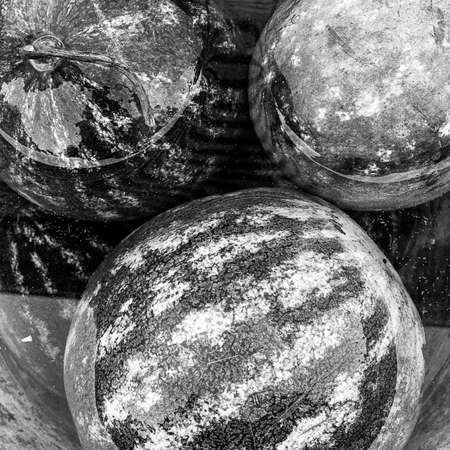 Photography on theme beautiful small berry watermelon with natural leaf under sky, photo consisting of tasty small berry watermelon outdoors in rural, small berry watermelon in big nature farm gardenの写真素材