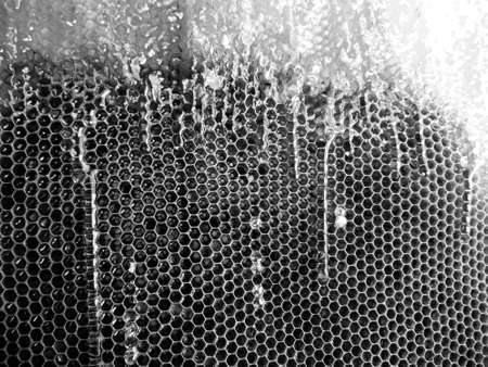Drop of bee honey drip from hexagonal honeycombs filled with golden nectar, honeycombs summer composition consisting of drop natural honey, drip on wax frame bee, drop of bee honey drip in honeycombsの写真素材