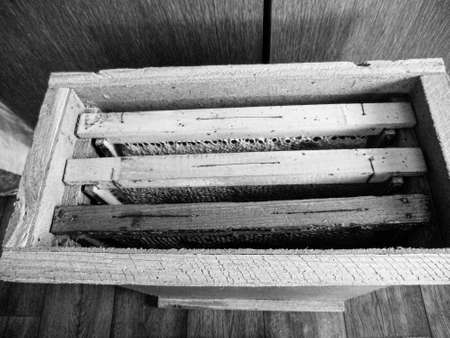 Abstract hexagon structure is honeycomb from bee hive filled with golden honey, honeycomb summer composition consisting of gooey honey from bee village, honey rural of bees honeycombs to countrysideの写真素材