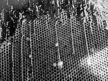 Drop of bee honey drip from hexagonal honeycombs filled with golden nectar, honeycombs summer...