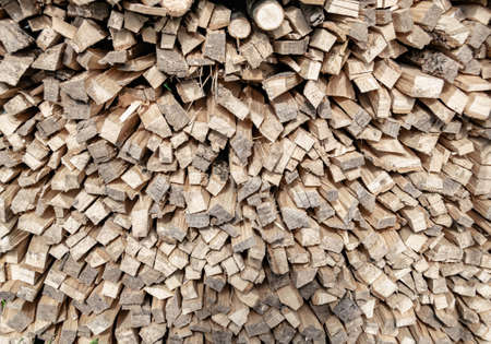 Photography on theme big wall of stacked oak tree logs in cracks, photo consisting of old oak tree...