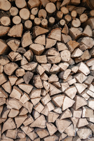 Photography on theme big wall of stacked oak tree logs in cracks, photo consisting of old oak tree logs on nature background, oak tree logs from textured round annual rings with stripes of various sizesの写真素材