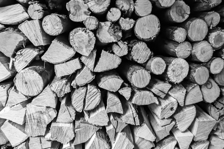 Photography on theme big wall of stacked oak tree logs in cracks, photo consisting of old oak tree logs on nature background, oak tree logs from textured round annual rings with stripes of various sizesの写真素材