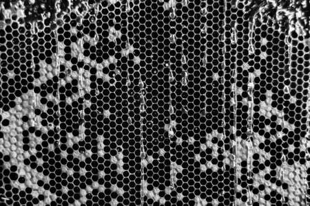 Drop of bee honey drip from hexagonal honeycombs filled with golden nectar, honeycombs summer...