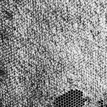 Abstract hexagon structure is honeycomb from bee hive filled with golden honey, honeycomb summer composition consisting of gooey honey from bee village, honey rural of bees honeycombs to countrysideの写真素材