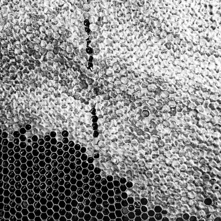 Abstract hexagon structure is honeycomb from bee hive filled with golden honey, honeycomb summer...