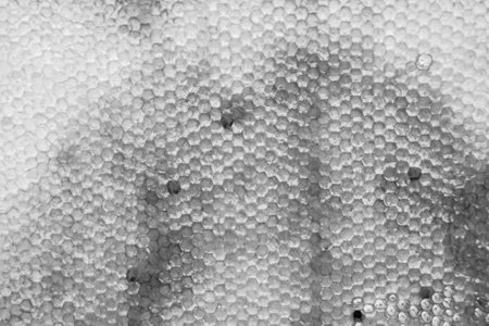 Drop of bee honey drip from hexagonal honeycombs filled with golden nectar, honeycombs summer...