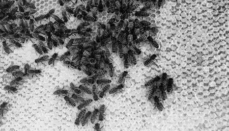 Abstract hexagon structure is honeycomb from bee hive filled with golden honey, honeycomb summer...