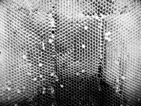 Abstract hexagon structure is honeycomb from bee hive filled with golden honey, honeycomb summer composition consisting of gooey honey from bee village, honey rural of bees honeycombs to countrysideの写真素材