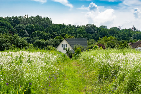 Beautiful old abandoned building farm house in countryside on natural background, photography consisting of old abandoned building farm house at wild grass, old abandoned building farm house over skyの写真素材
