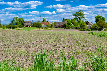 Photography on theme big empty farm field for organic harvest, photo consisting of large empty farm field for harvest on sky background, empty farm field for harvest this natural nature autumn seasonの写真素材