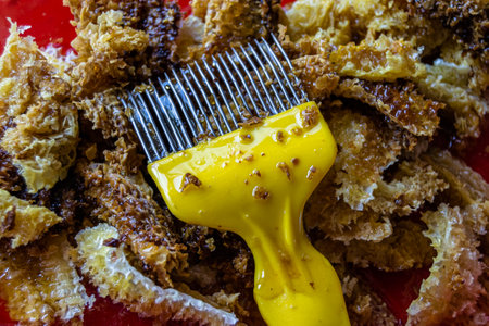 Drop of bee honey drip from hexagonal honeycombs filled with golden nectar, honeycombs summer composition consisting of drop natural honey, drip on wax frame bee, drop of bee honey drip in honeycombsの写真素材