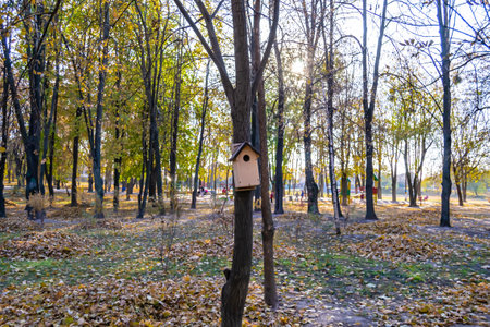 Photography on theme empty hanging birdhouse to natural forest tree, photo consisting of empty low...