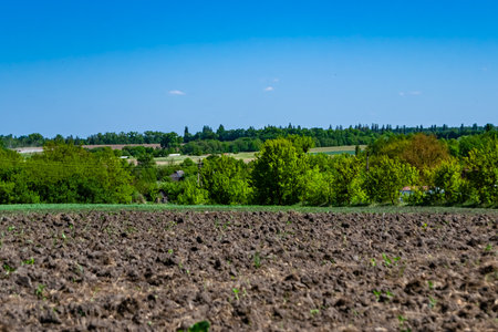Photography on theme big empty farm field for organic harvest, photo consisting of large empty farm field for harvest on sky background, empty farm field for harvest this natural nature autumn seasonの写真素材